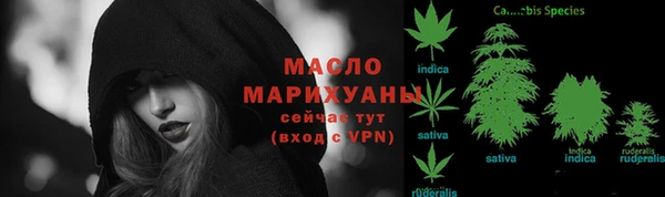 мет Надым