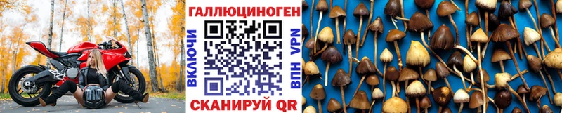 где купить наркоту  Евпатория  Галлюциногенные грибы Magic Shrooms 